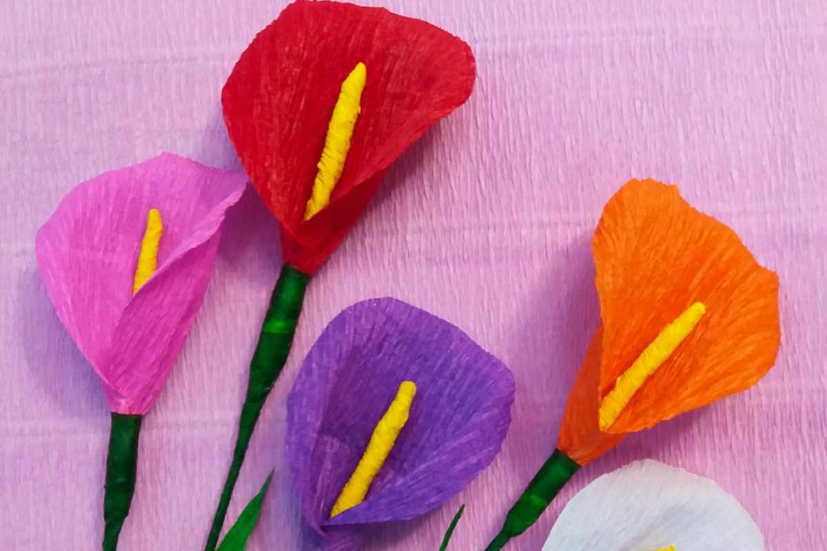 Paper Flowers